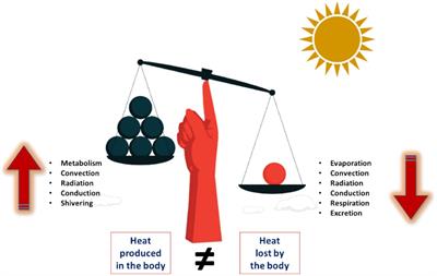 Effectiveness of heat stress interventions among outdoor workers: a protocol paper